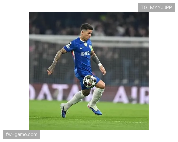 恩佐·费尔南德斯在阿根廷国家队的主力地位分析